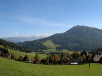 AU, Steiermark, Murau 2, Saxifraga-Jonathan Vandevoorden